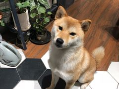 -About Bistro關於·泰式家庭料理