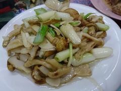 -泸沽肴(泸沽湖大洛水村农村信用社旁店)