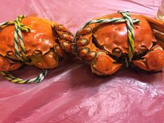 -秋月舫(阳澄湖湖滨中路店)