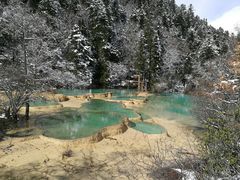 -黄龙山原始森林景区