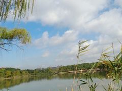 -昆山城市生态森林公园