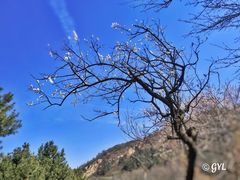 -秦岭终南山世界地质公园翠华山景区