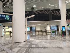 -望京西(地铁站)