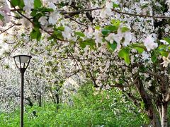 -元大都城垣遗址公园