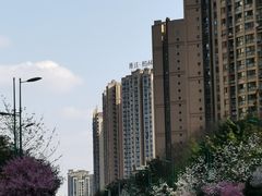 -眉山湿地公园(东坡区)