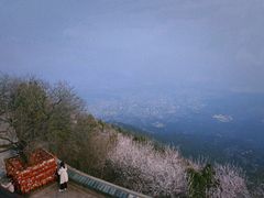 -香山公园