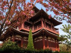 -西安青龙寺遗址景区