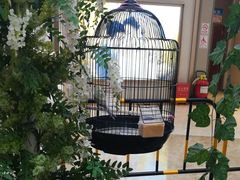 -港悦广场