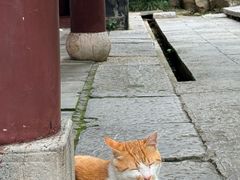 -采石矶景区