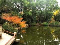 -汇龙潭