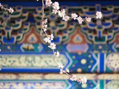 -北海公园