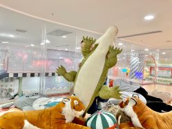 -宝燕乐园(春申店)