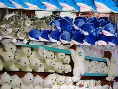 -太平洋海底世界