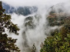 -无量山自然风景保护区