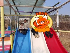 -鲸鱼妈妈月嫂/育婴师定制