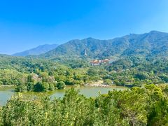 -深圳仙湖植物园