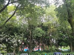 -南湖梦幻岛