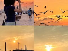 -东港音乐喷泉广场