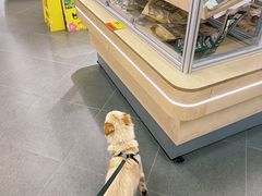 -帕帕拉兹宠物(亚洲旗舰店)