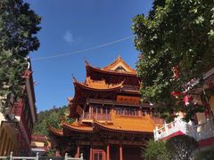 -东天目山风景区