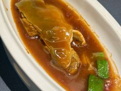 红烧扁豆河豚-沈灶河豚宴·河豚融合餐厅(汉中路店)