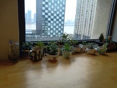 景观位-不正咖啡(万达尊店)