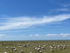 -青海湖国家重点风景名胜区
