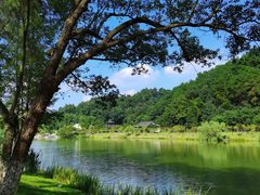 -常德桃花源景区