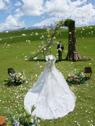 -雅云婚纱摄影工作室旗舰店