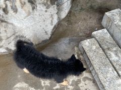-福建土楼(南靖)景区