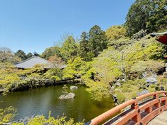 -醍醐寺
