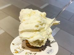-野人先生现做冰淇淋(北京环宇荟店)