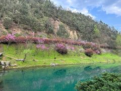 -桃花岭景区