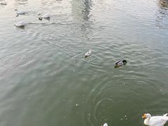 -迎泽公园