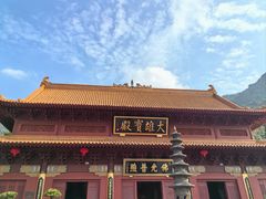 -深圳仙湖植物园