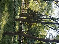 -玲珑塔公园