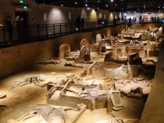 -洛阳周王城天子驾六博物馆