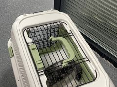 -伟伟宠物医院·CT影像中心·瑞派犬猫综合性门诊(汉口总院)