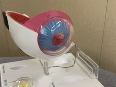 -武汉大学附属爱尔眼科医院(湖北总院)