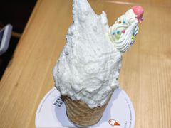 -野人先生现做冰淇淋(北京顺义祥云小镇店)