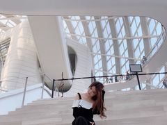 -凤凰中心