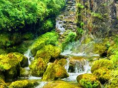 -鹿院坪生态旅游景区