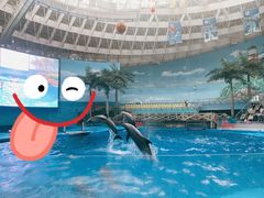 -海合安成都极地海洋公园