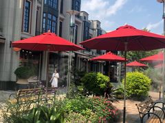 -迪士尼乐园停车场