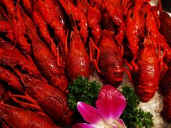 -红盔甲·小龙虾(天钥桥店)
