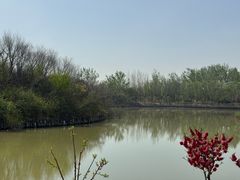 -塘沽森林公园