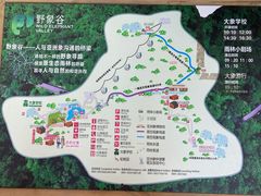 -野象谷景区