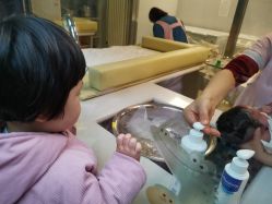-保丽宝泰母婴护理院·月子中心·产康·中医(常州店)