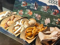 -芸山季·云南山珍菌火锅(人民广场来福士店)