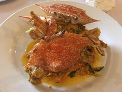 -Red Lobster